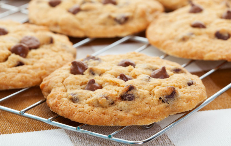 Chocolate Chip Cookie Throw Don